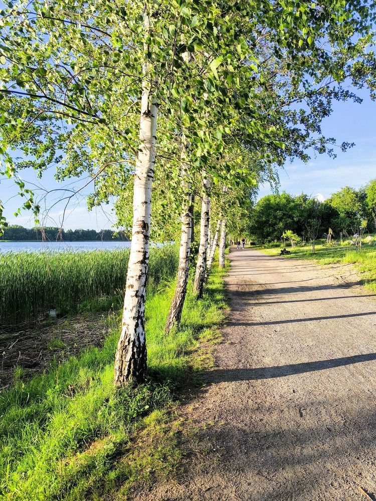 Photograph by Людмила Муравьева