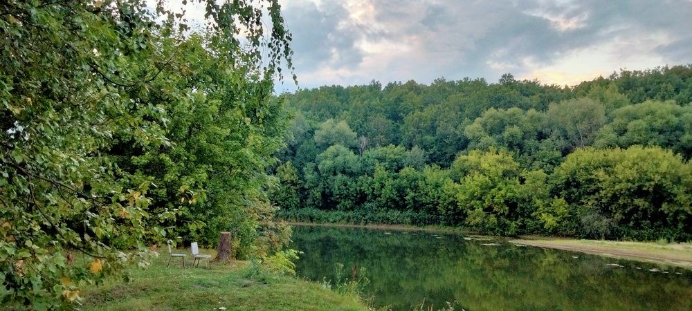 Photo #10797247