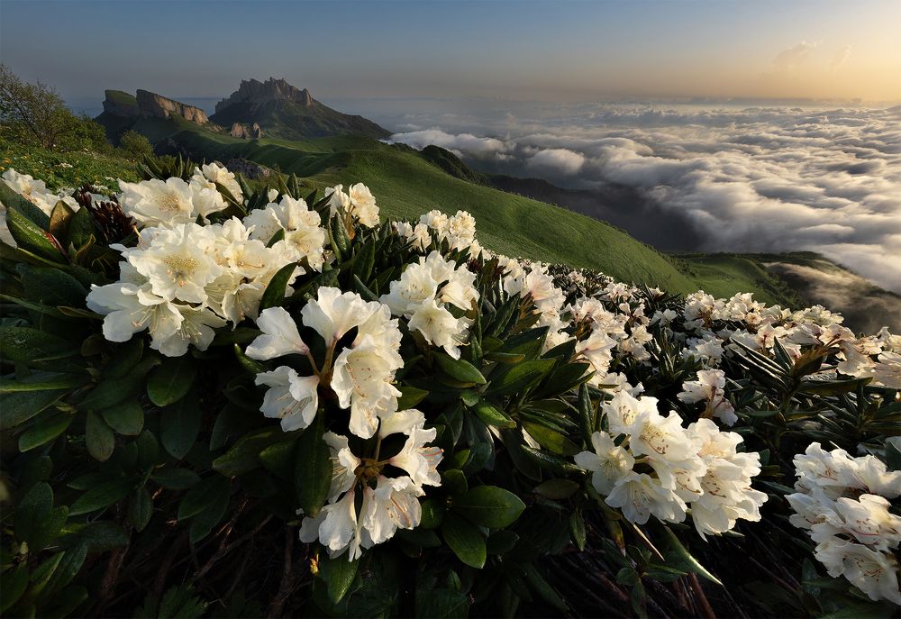 Photograph by Елена Вторушина