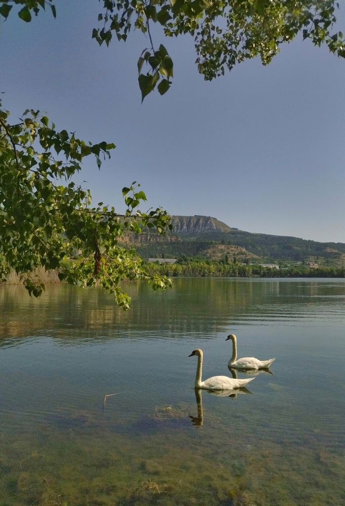 Photograph by Эльза Трисантович