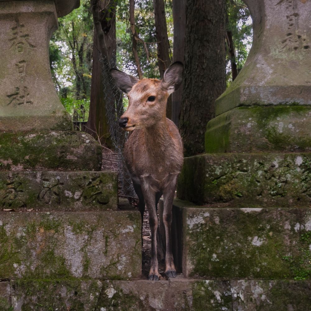 Photograph by Елена Захарова