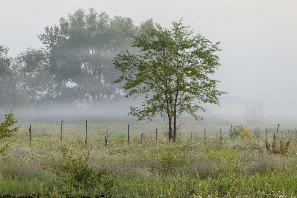 Photograph by Sergey Paramonov