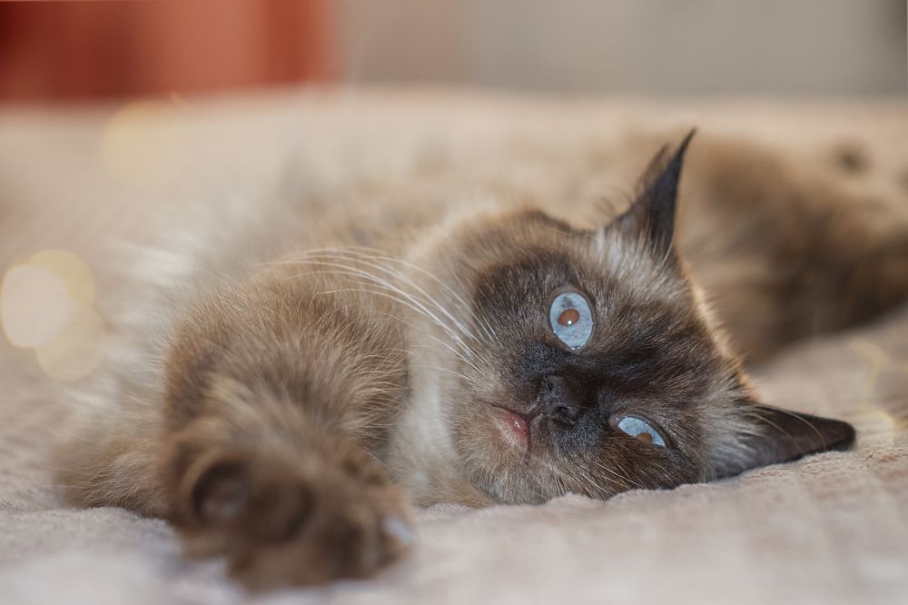 Photograph by Юлия Гетманская