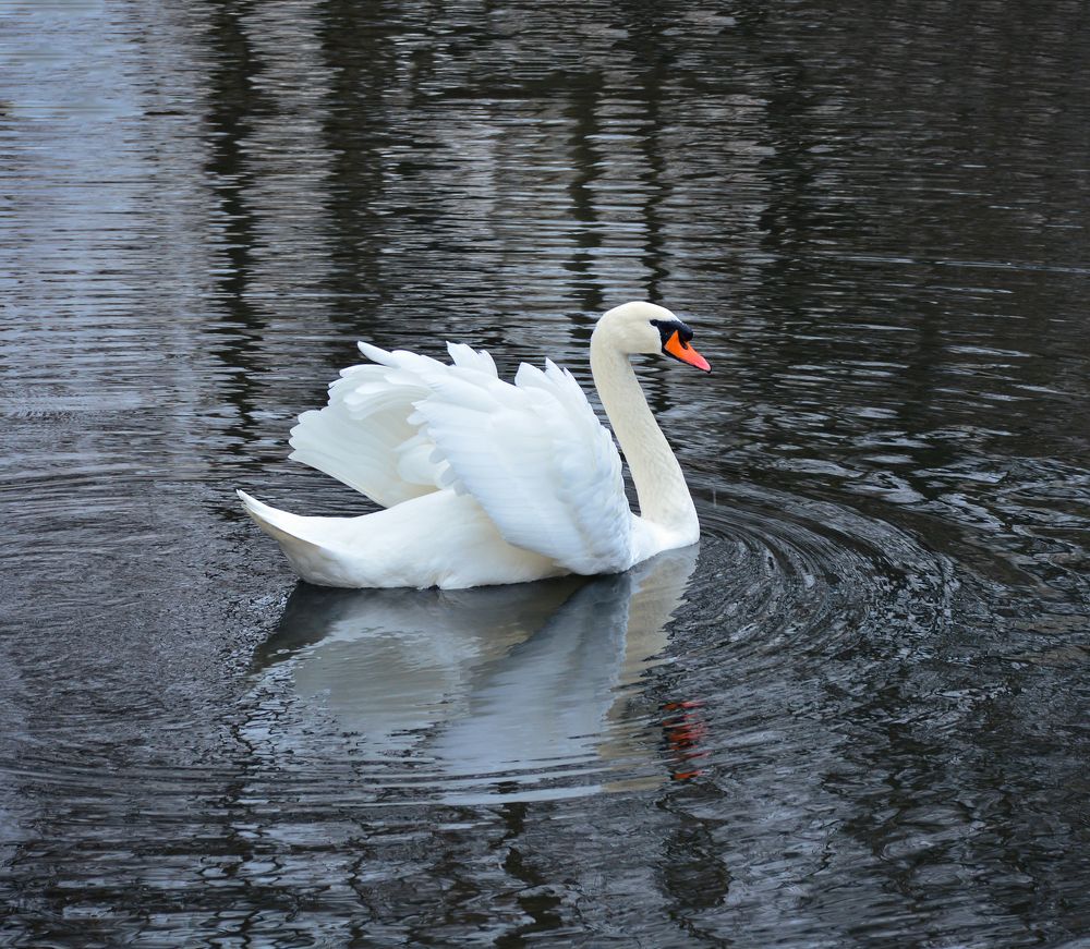 Photograph by Inna Ivanova