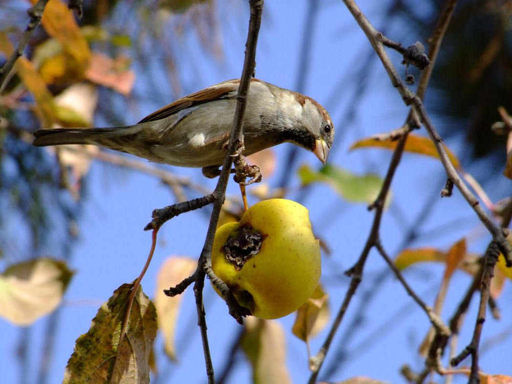Photograph by Cengiz Yalcin