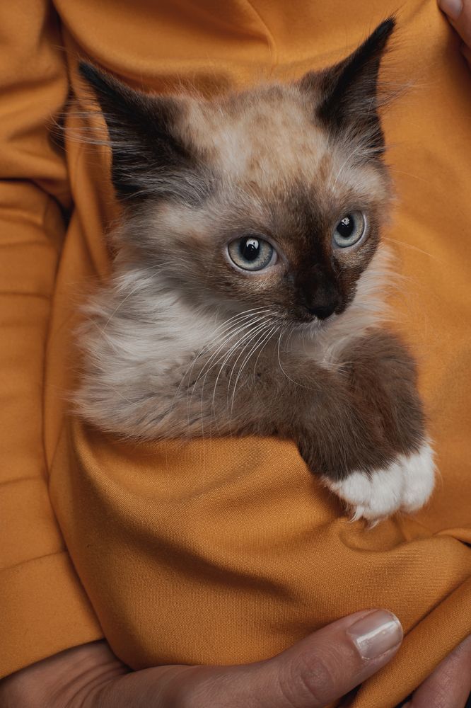 Photograph by Валерий Зенович