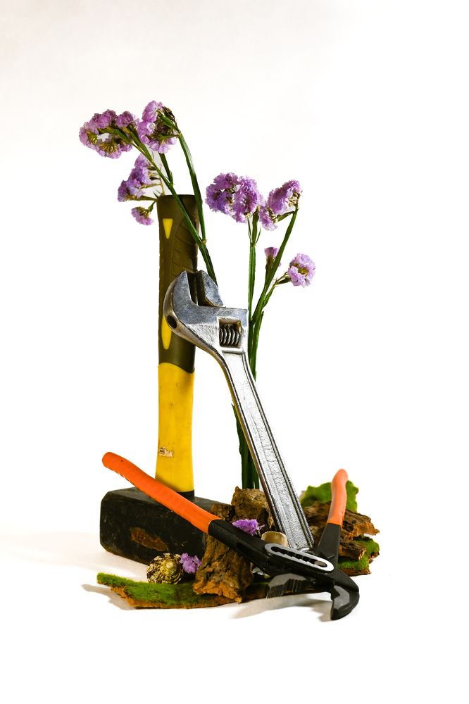 Фотография автора Екатерина