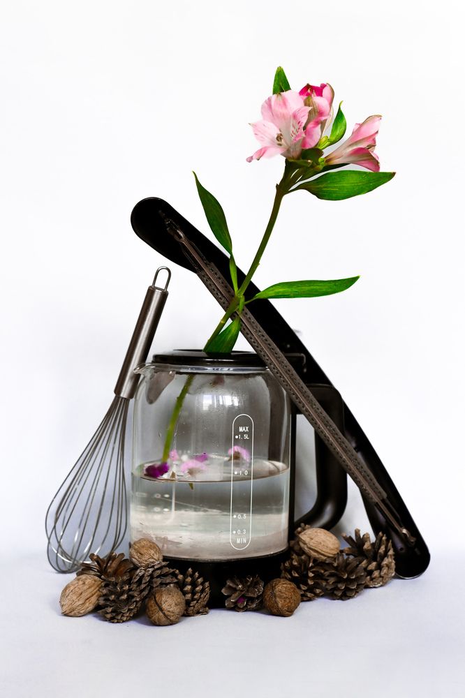 Фотография автора Екатерина