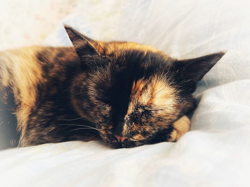 Photograph by Ирина Селиверстова