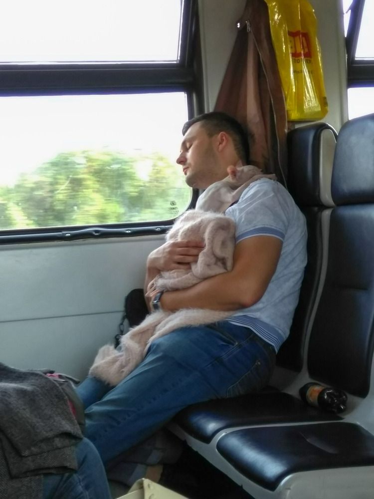 Милота в электричке