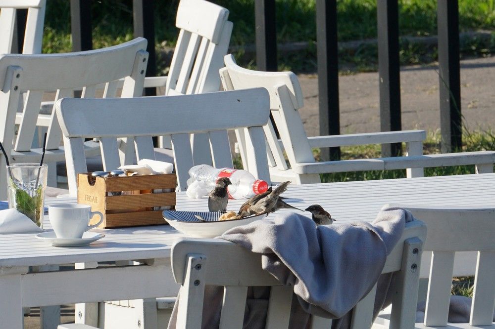 Photograph by Алфия Бугакова