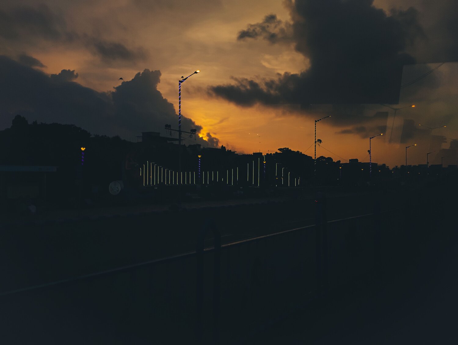 Photo #10797568