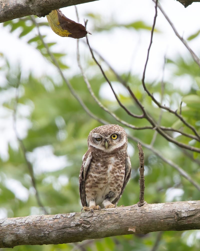 Photograph by Rohan Bhattacharjee