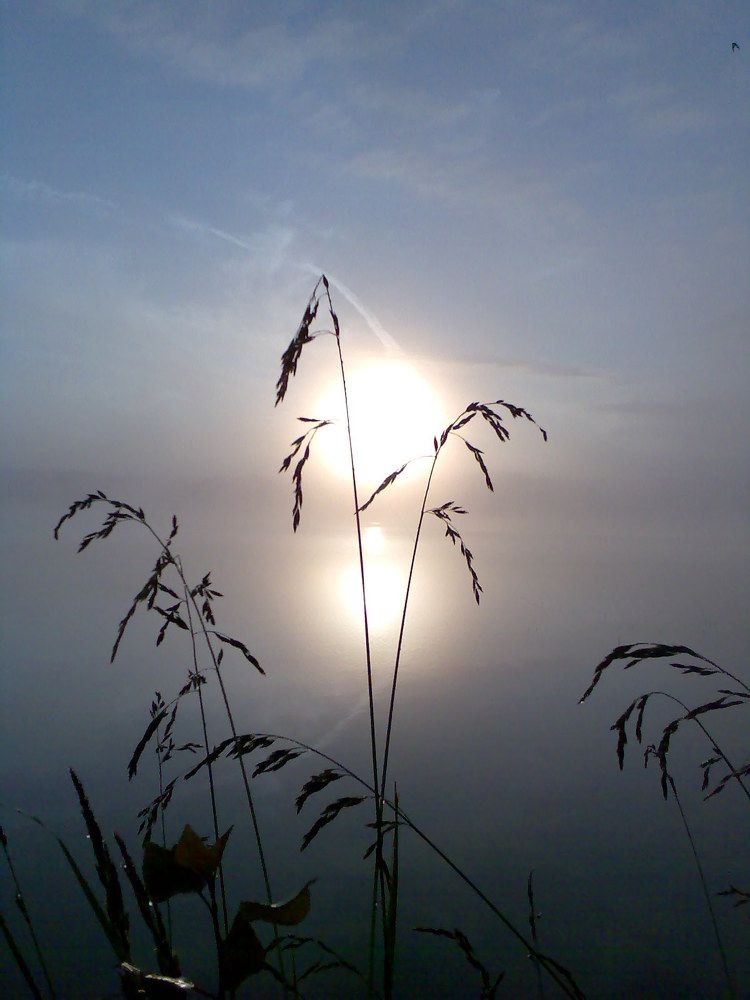 Утро на другой планете