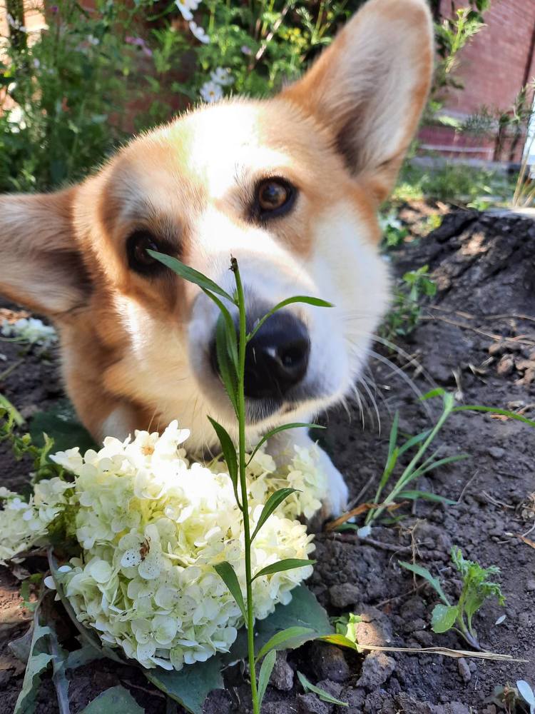 Photograph by Аркадий