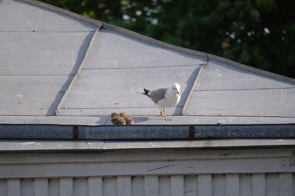 Photograph by Алфия Бугакова