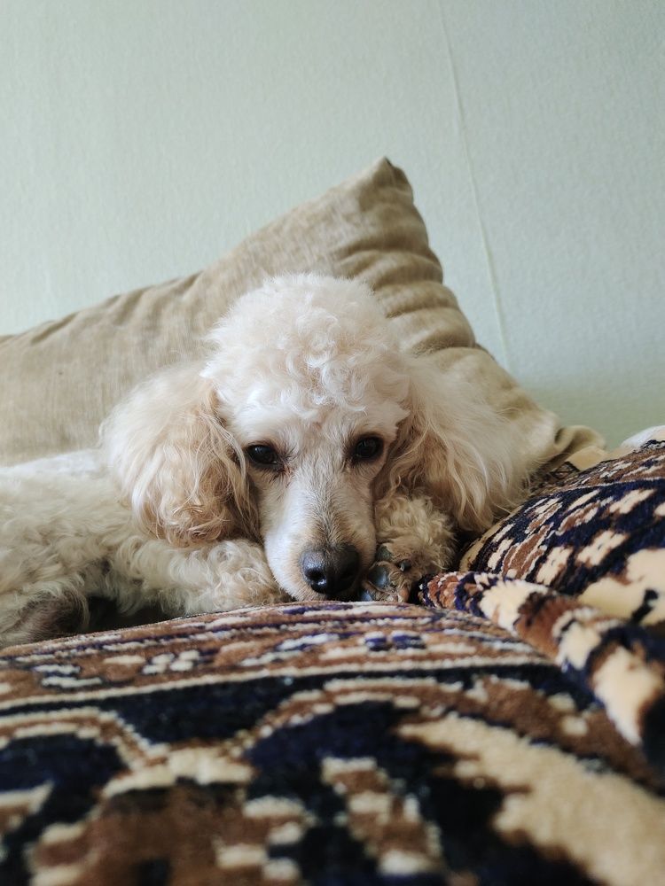 Photograph by Аркадий