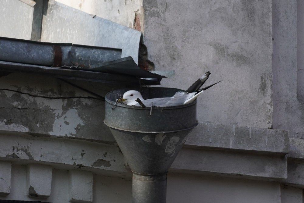 Photograph by Алфия Бугакова