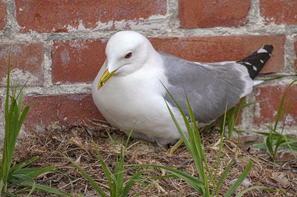 Photograph by Алфия Бугакова