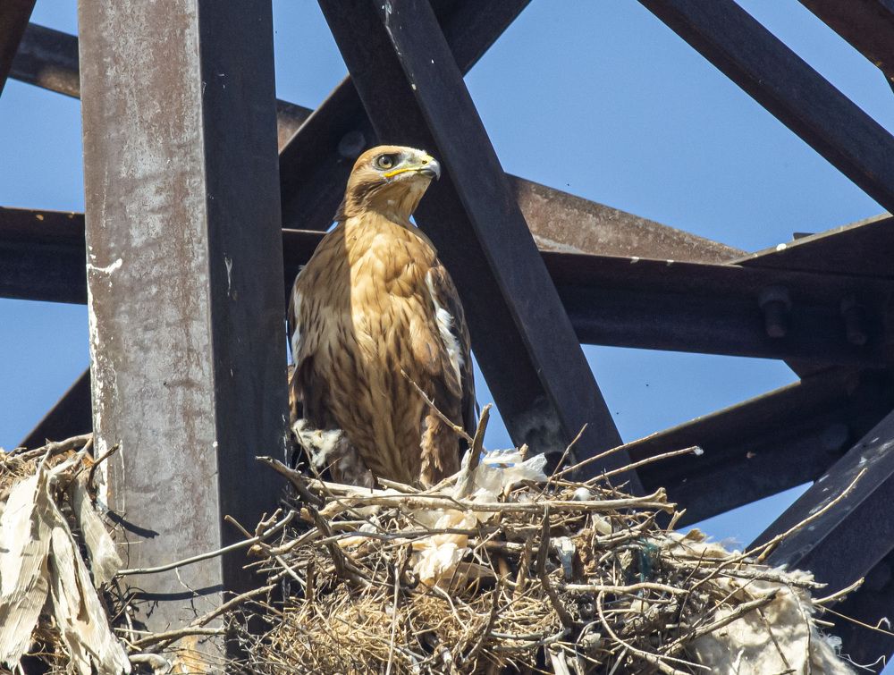 Photograph by Савчук Сергей