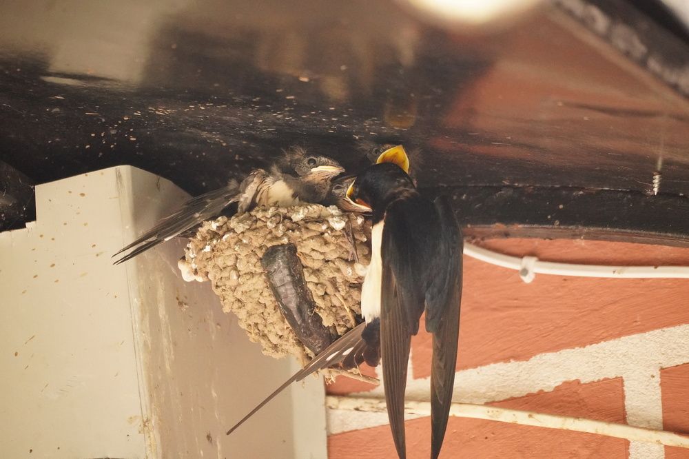 Photograph by Алфия Бугакова