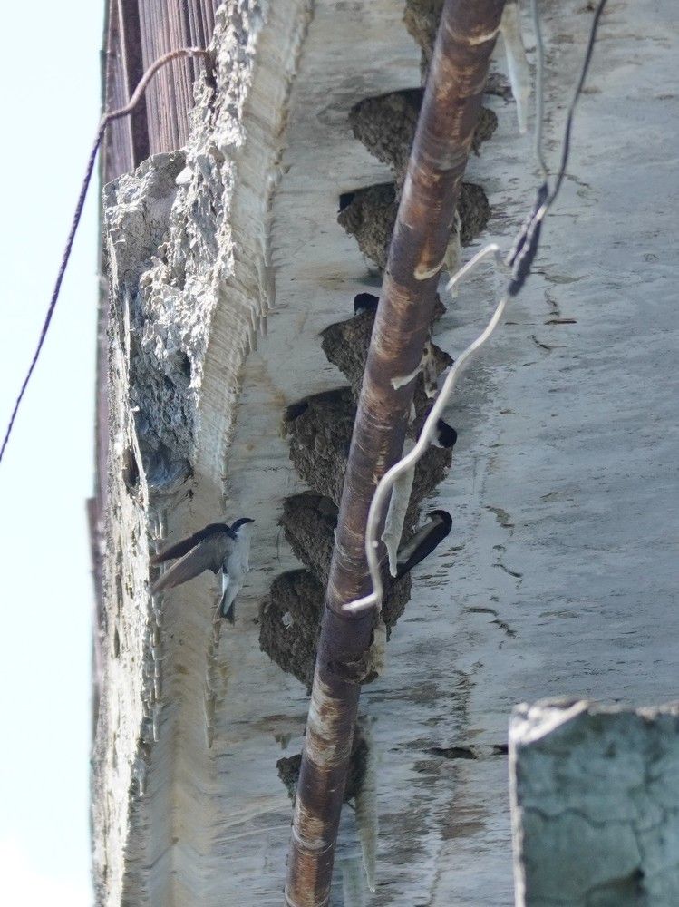 Photograph by Алфия Бугакова