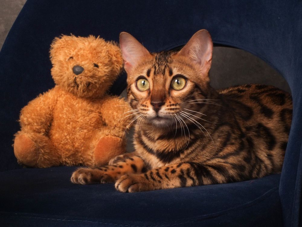 Photograph by Ольга Закаблуковская