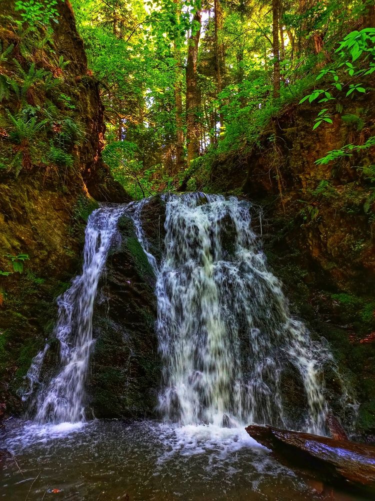 Photograph by Юлия Коробкова