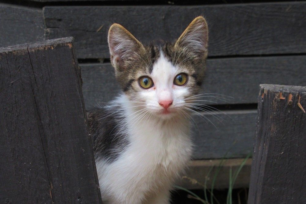 Photograph by Ольга Березовская