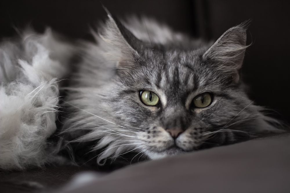 Photograph by Lana Soldatova