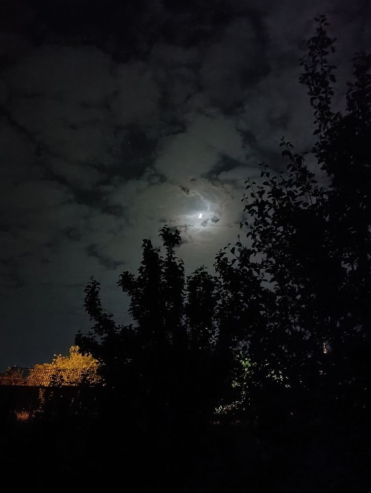 Photograph by Елена Можаева