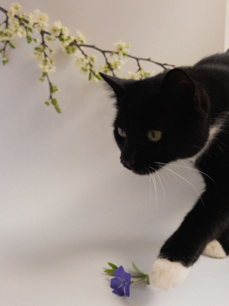 Photograph by Алина