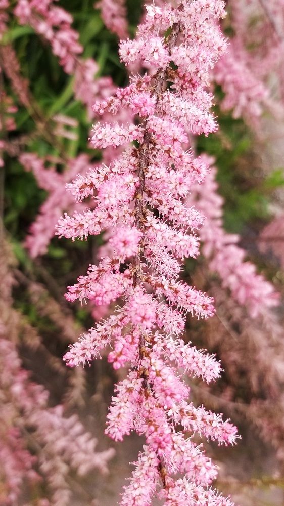 Photograph by София Лаврентьева