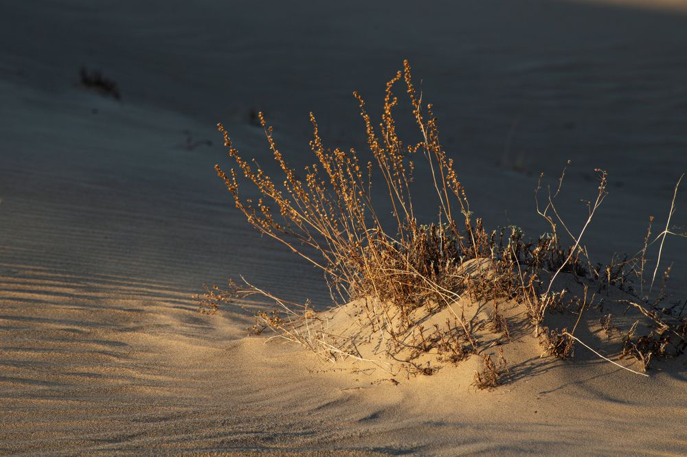 Photograph by KateAkh