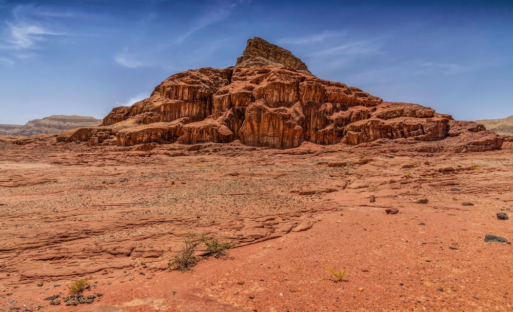 Photograph by Марина Ческис