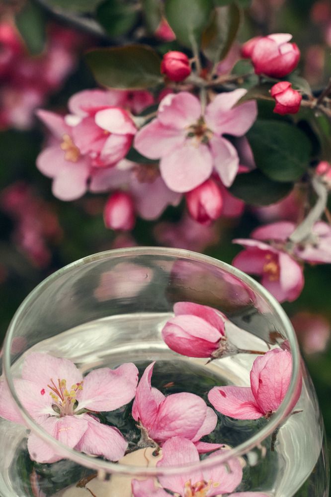 Photograph by Елена Квасова