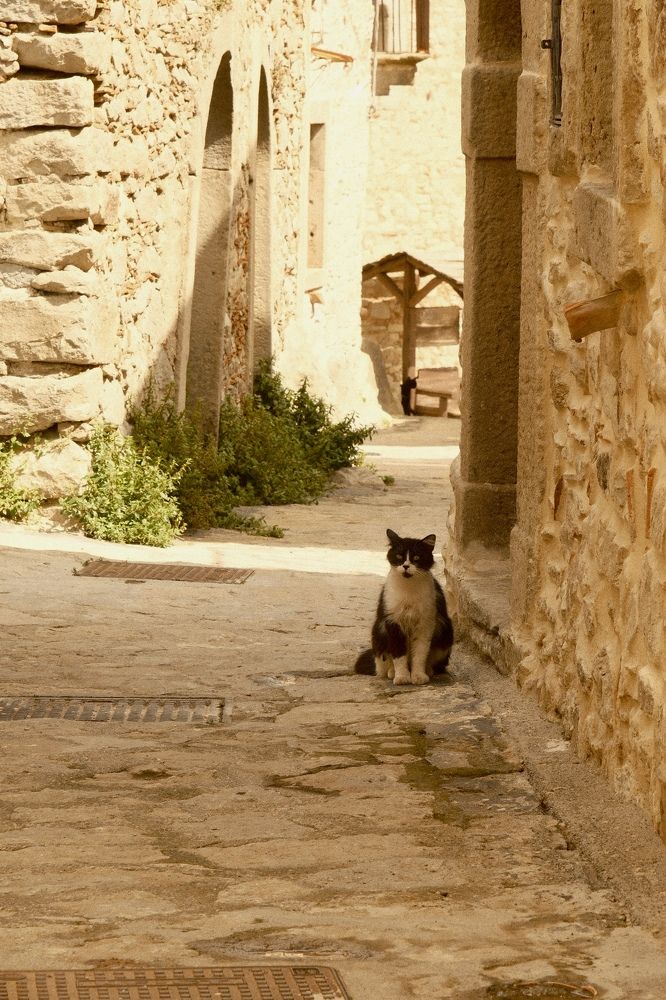 Photograph by Camilla Romano