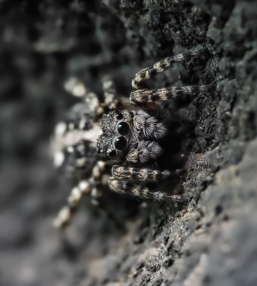 Фотография автора alex_kpd_