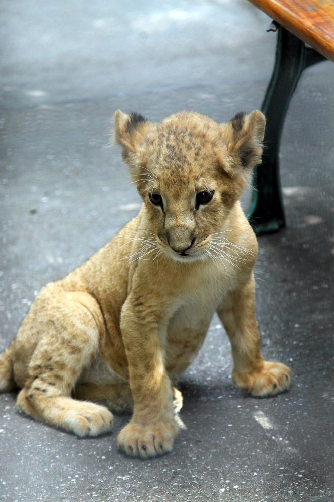 Photograph by София Лаврентьева