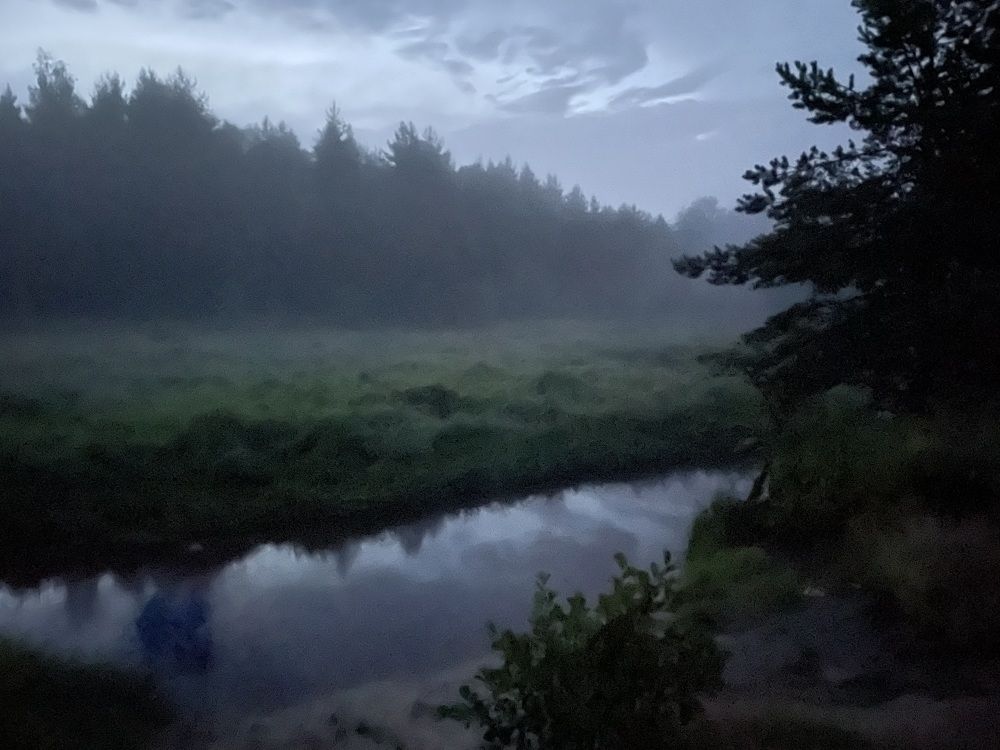 Белая ночь