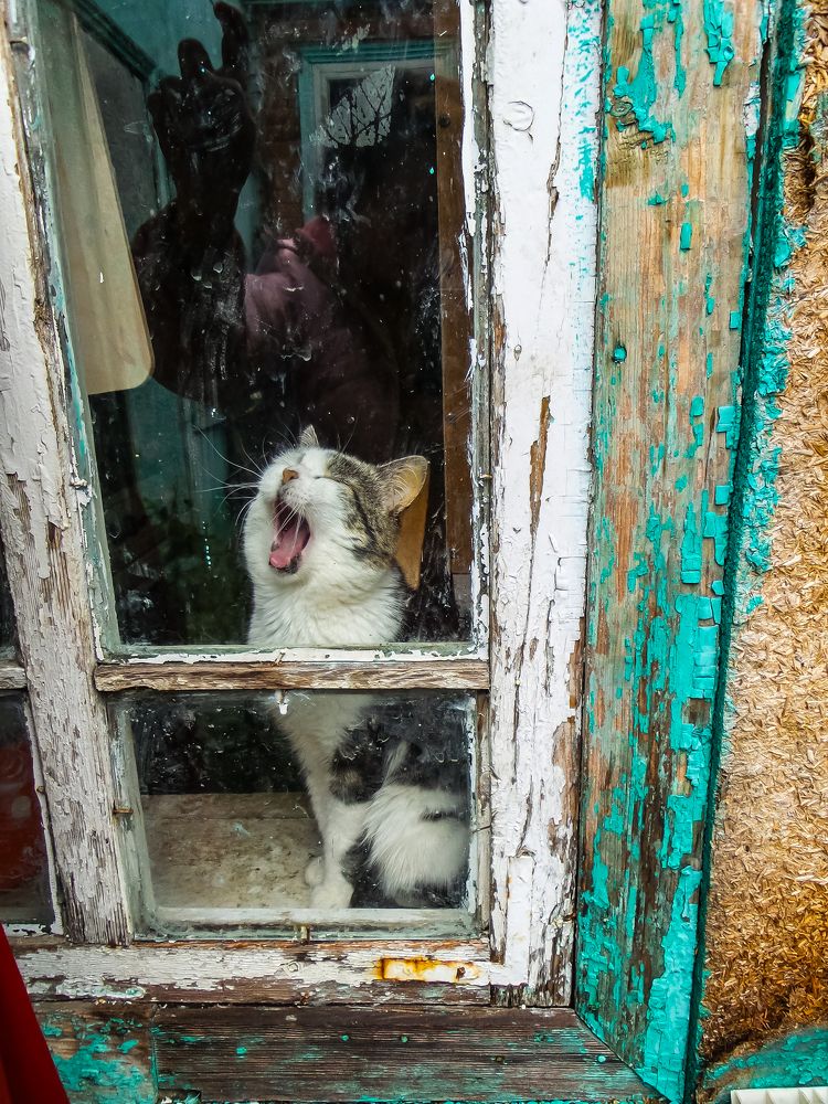 Фотография автора Ксения Смирнова