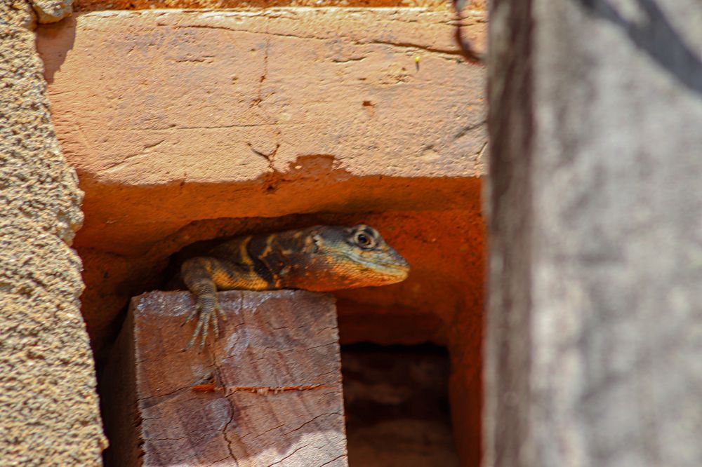 Photograph by Juliana