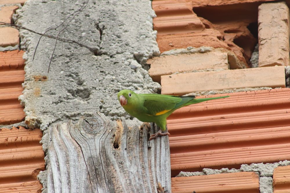 Photograph by Juliana