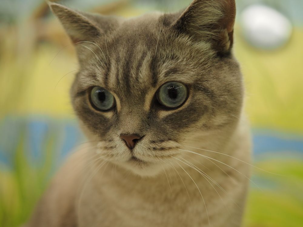 Photograph by Алексей Большаков