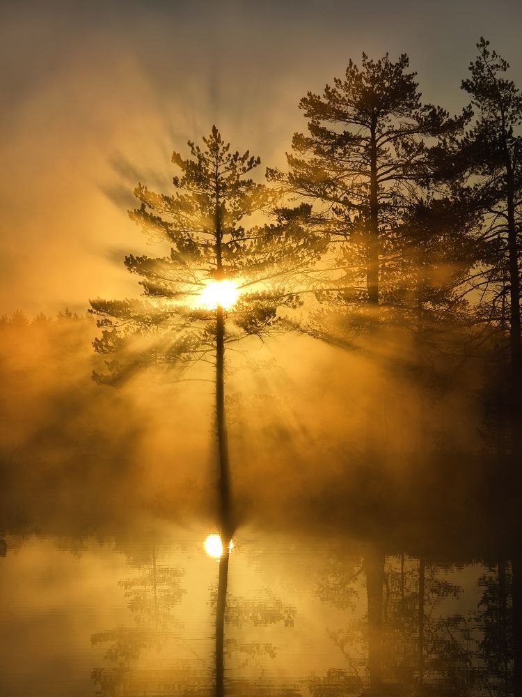 Photograph by Михаил Азаров