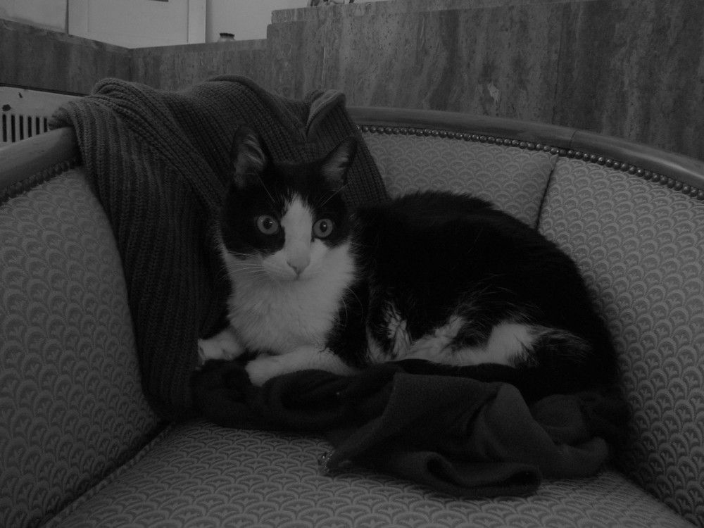 Фотография автора Ileana Andrea Gavinoser