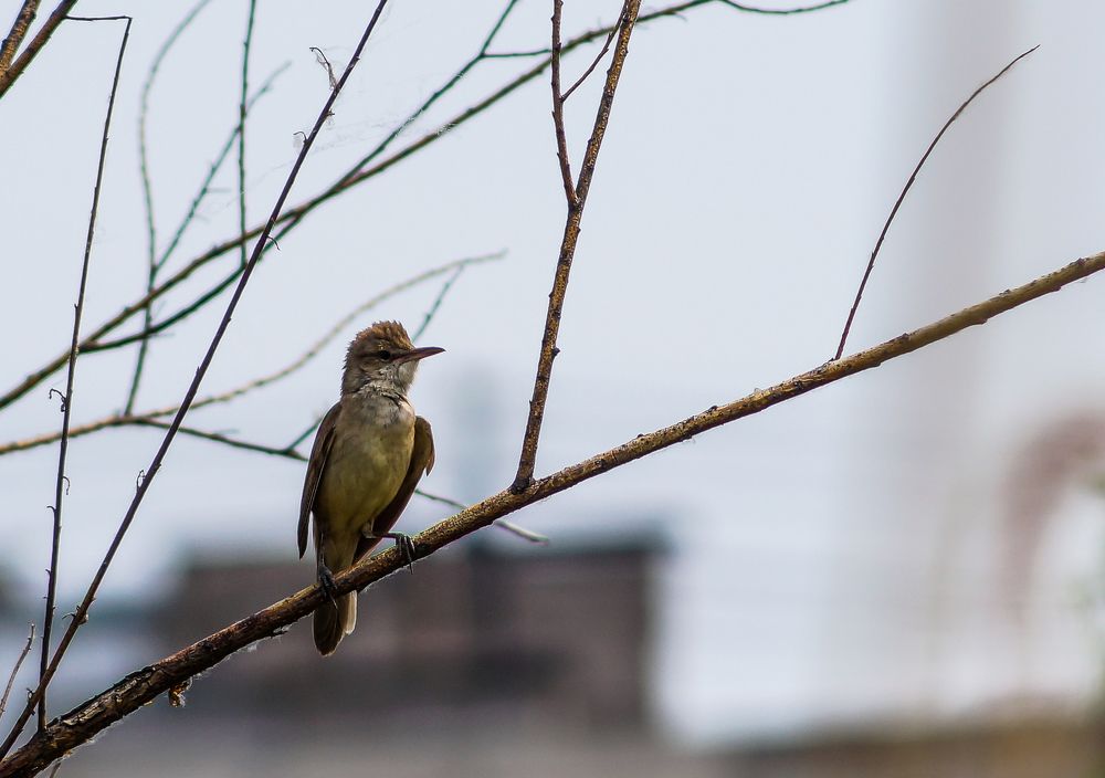 Photograph by Виктор Сёмушкин