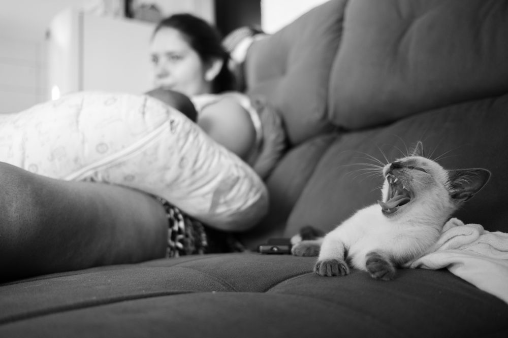 Photograph by SERGIO NORBERTO JUNIOR