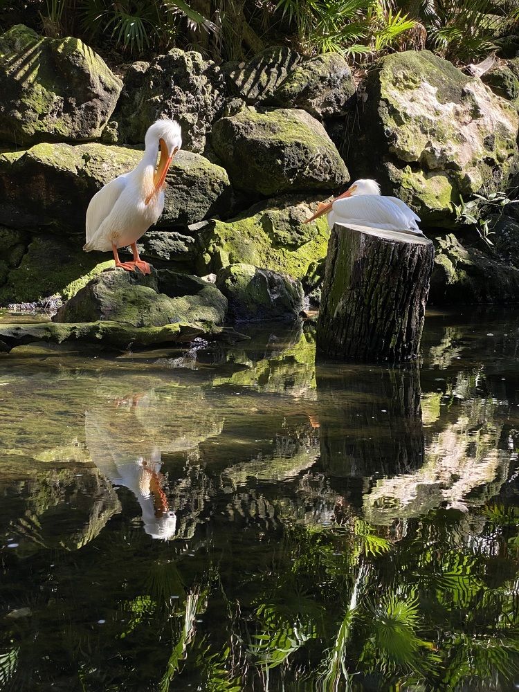 Photograph by Евгения Казакова