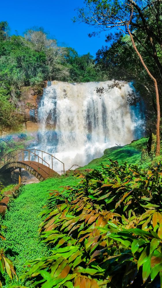 Photograph by SERGIO NORBERTO JUNIOR